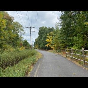 Meet your Posher, Lexi